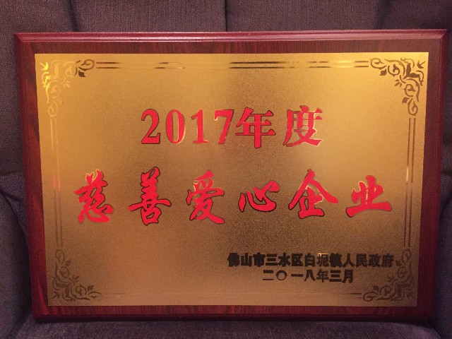 實力認證：金牌企業(yè)一天摘得5項政府級的榮譽！(圖11)