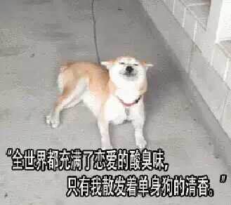 官宣！聽說德利豐大巖板戀愛了？(圖3)