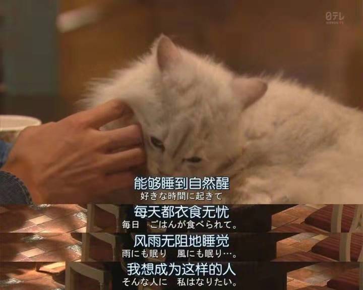 80、90后，別再將就生活啦！(圖12)