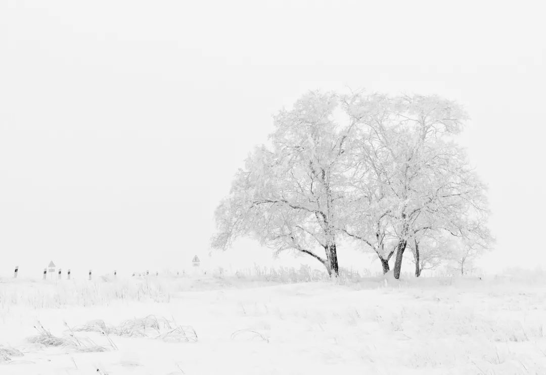 傲雪寒梅為君開,東方藝術(shù)的魅力,或許就在于(圖4) 傲雪寒梅為君開,東方藝術(shù)的魅力,或許就在于(圖4)